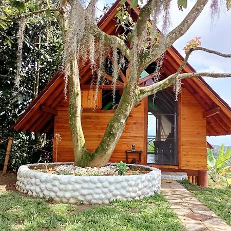 Cabanas La Miranda Filandia Ngoại thất bức ảnh