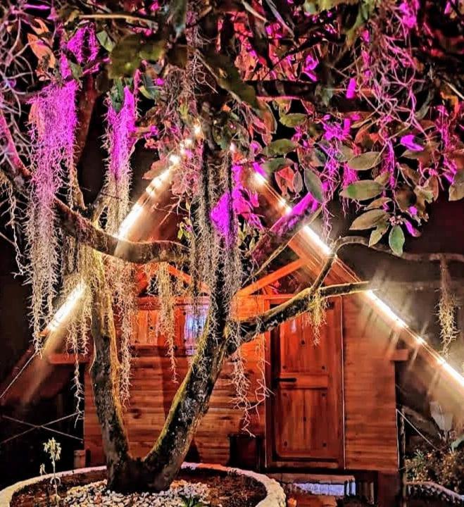 Cabanas La Miranda Filandia Ngoại thất bức ảnh