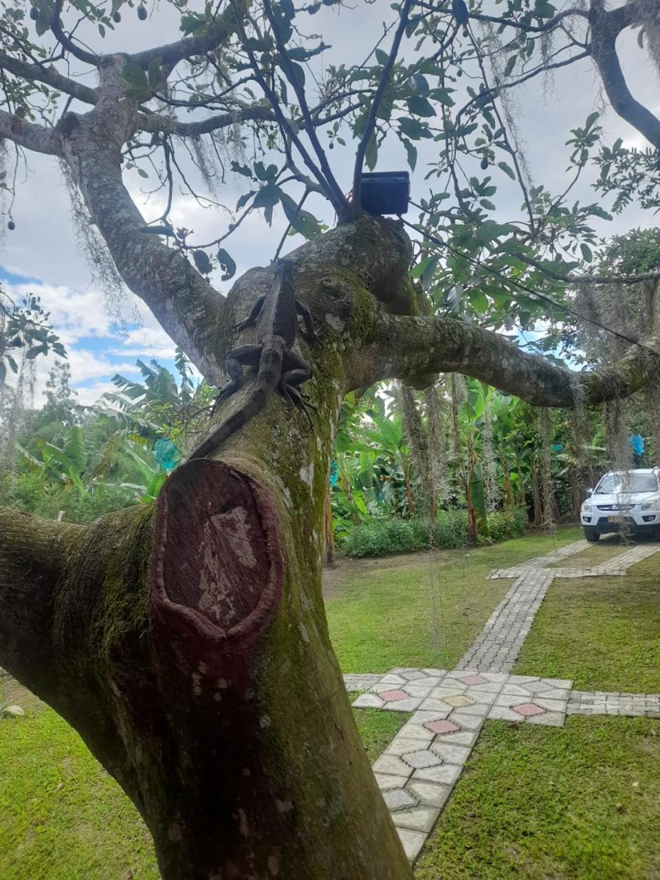 Cabanas La Miranda Filandia Ngoại thất bức ảnh