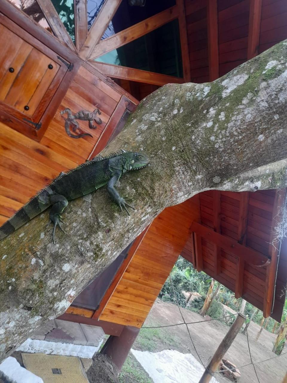 Cabanas La Miranda Filandia Ngoại thất bức ảnh