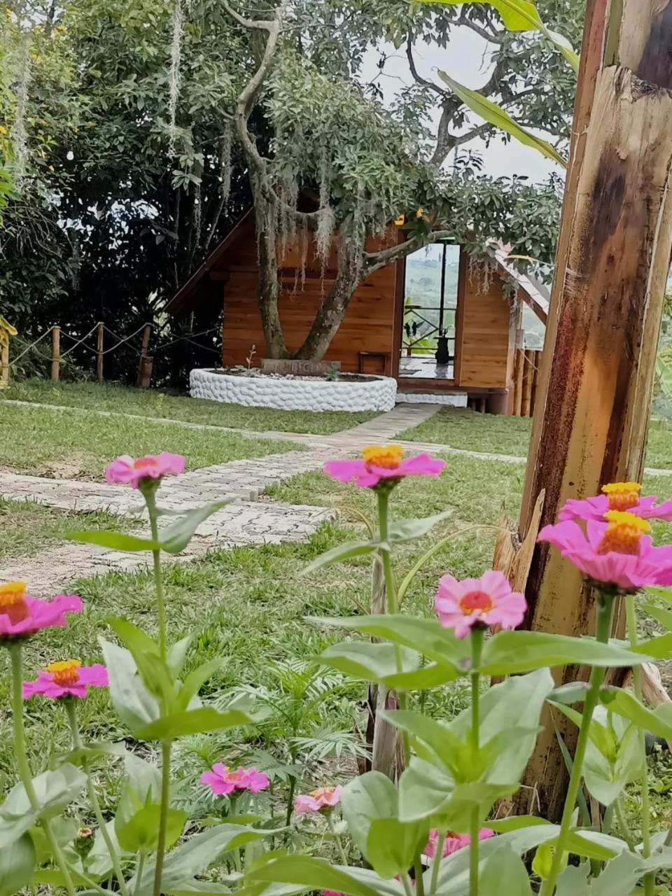 Cabanas La Miranda Filandia Ngoại thất bức ảnh