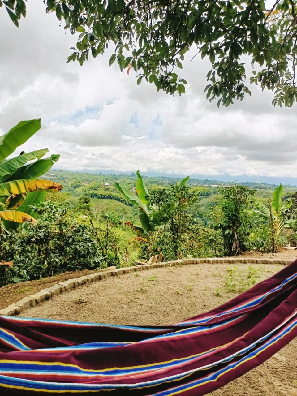 Cabanas La Miranda Filandia Ngoại thất bức ảnh