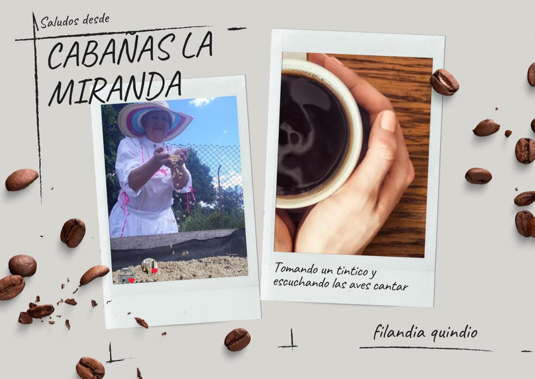 Cabanas La Miranda Filandia Ngoại thất bức ảnh