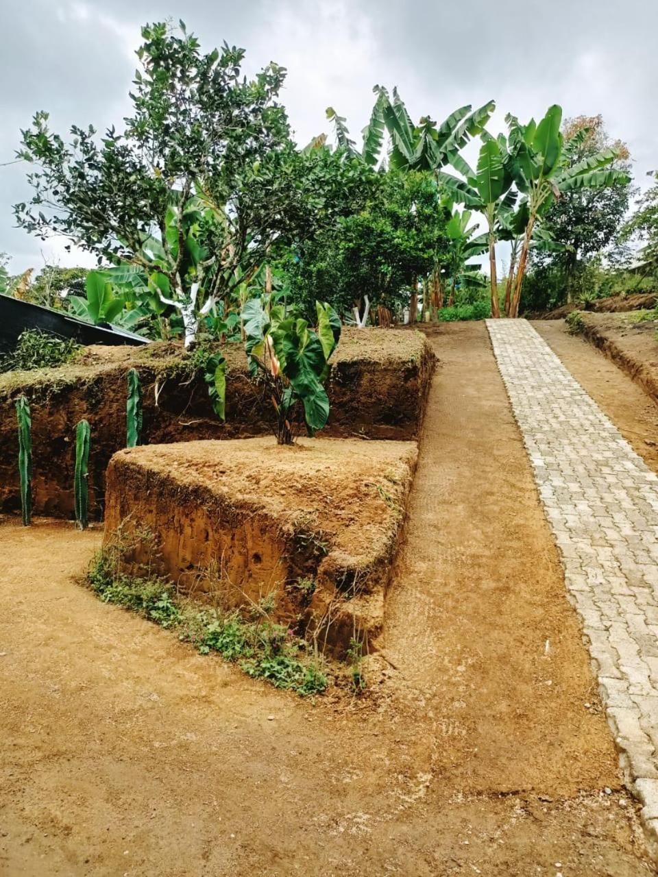 Cabanas La Miranda Filandia Ngoại thất bức ảnh